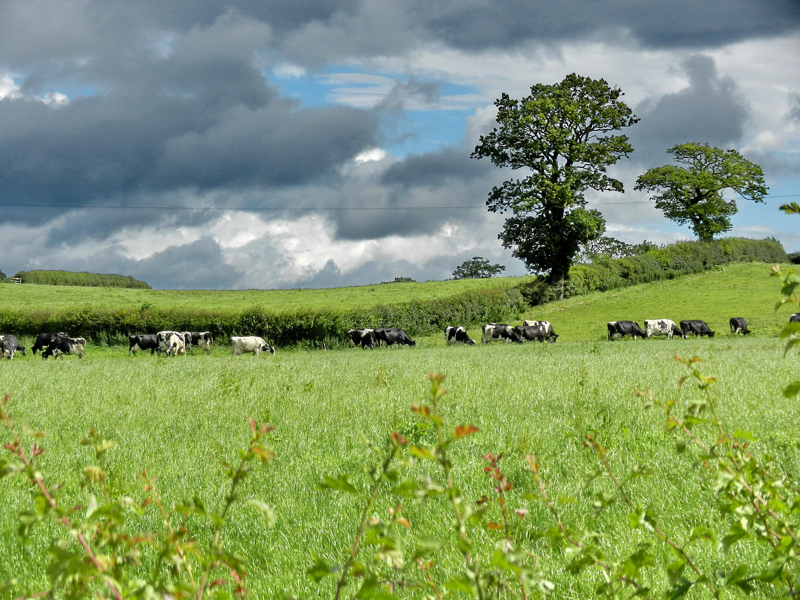 Llanfair